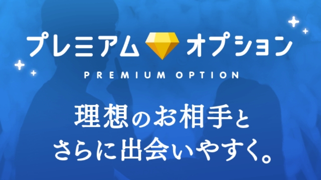 プレミアムオプションの料金
