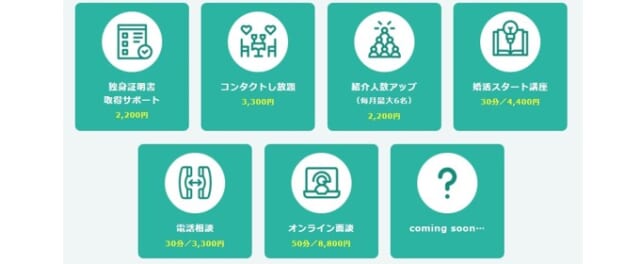 スマリッジ オプション