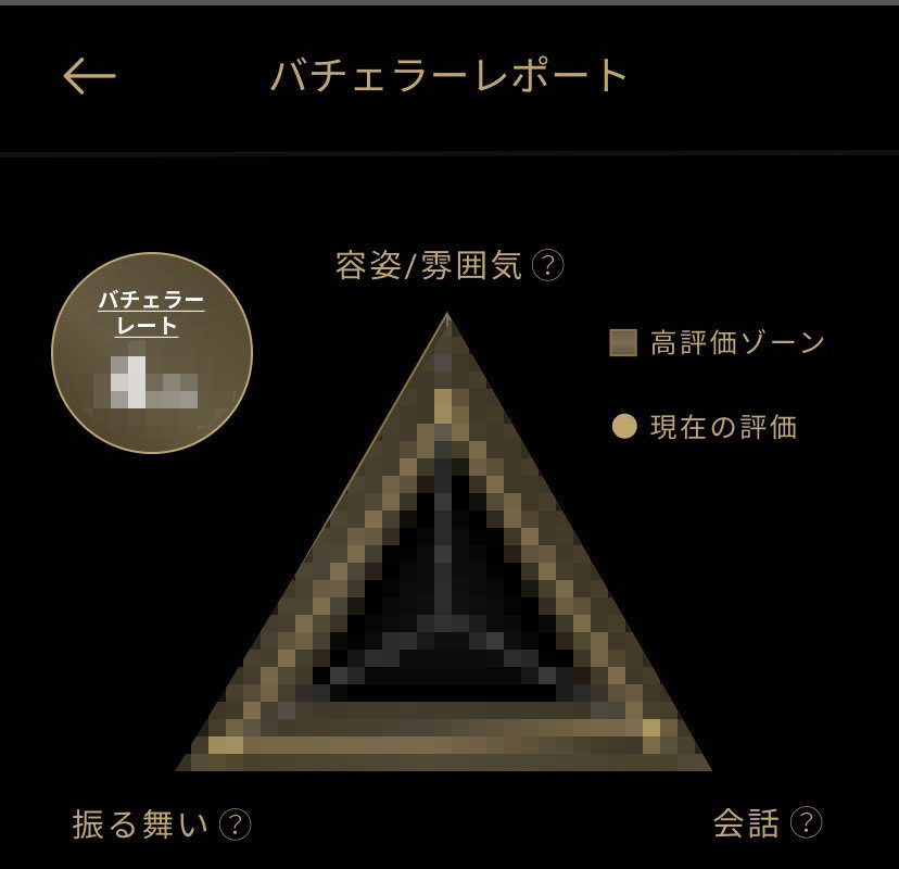 バチェラーレポート