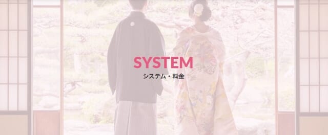 料金:シンプルなプラン1種類のみ