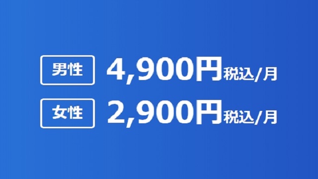 プレミアムオプションの料金