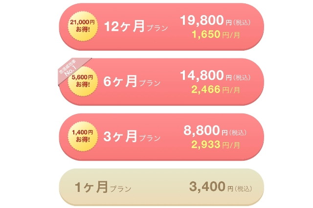 マリッシュ　使い方　有料プラン