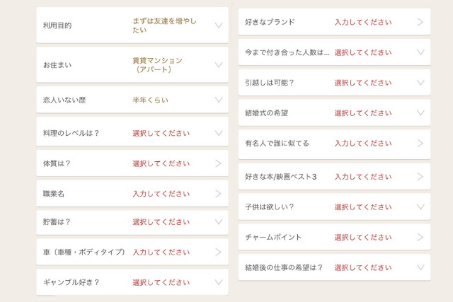マリッシュ　使い方　特別プロフィールの項目
