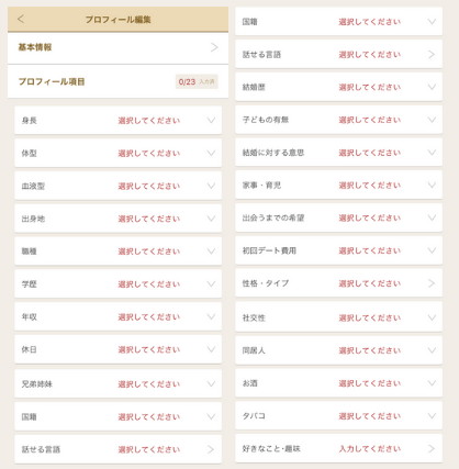 マリッシュ　使い方　プロフィール23項目