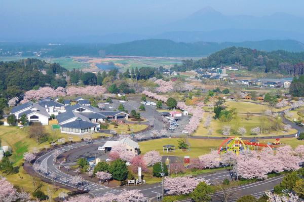 観音池公園の俯瞰写真