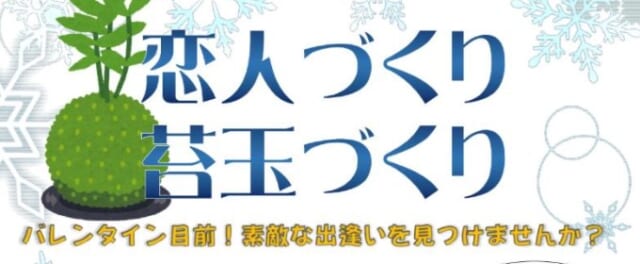 恋人づくり苔玉づくり
