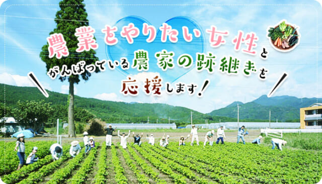 raitai紹介バナー