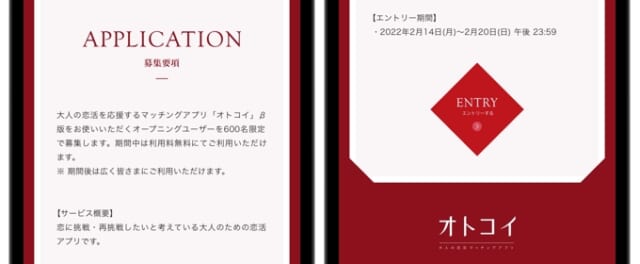 オトコイ　募集要項　下部のエントリーボタン