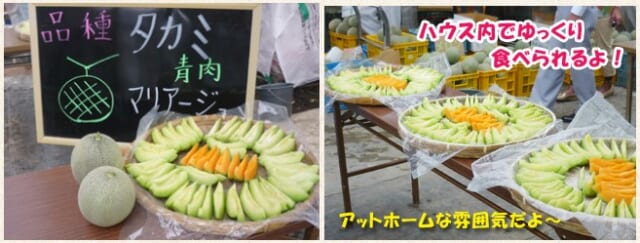 フルーツ北会津メロン