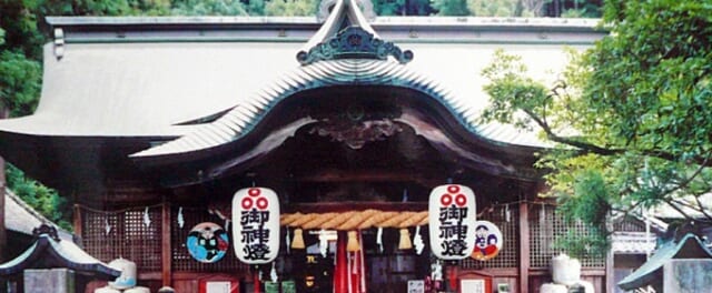 椙本神社とは