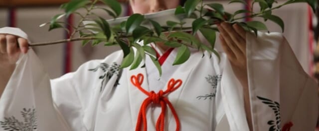 玉村八幡宮は神前挙式が挙げられる