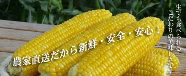 ハナシマ農園の収穫体験