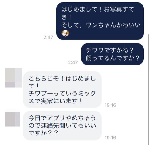 タップルでマッチングした業者とのメッセージトリミング版