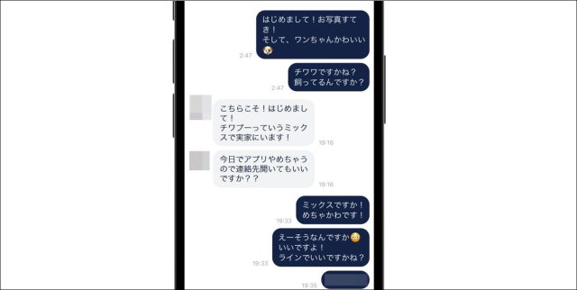 タップル 即日LINE交換