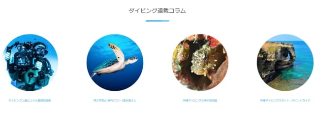 ワールドダイビング