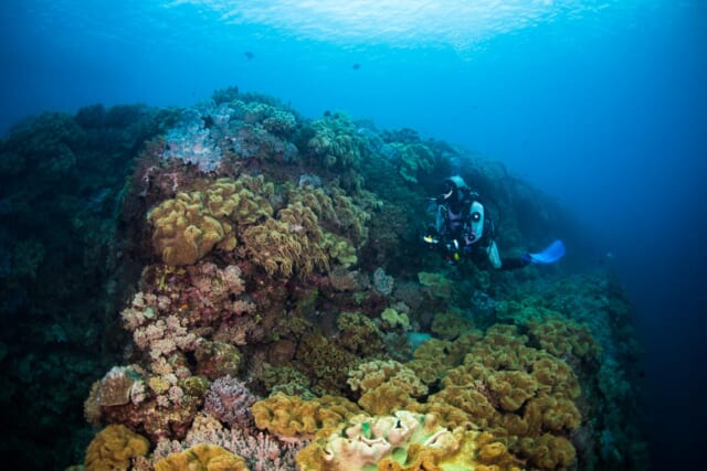 海底ピラミッド