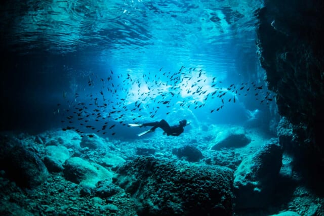 ファンダイビング