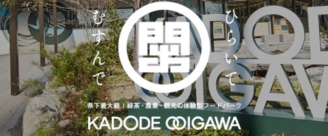 KADODEOOIGAWAのバナー