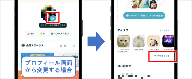 ペアーズ マイタグ プロフィールから変更する場合