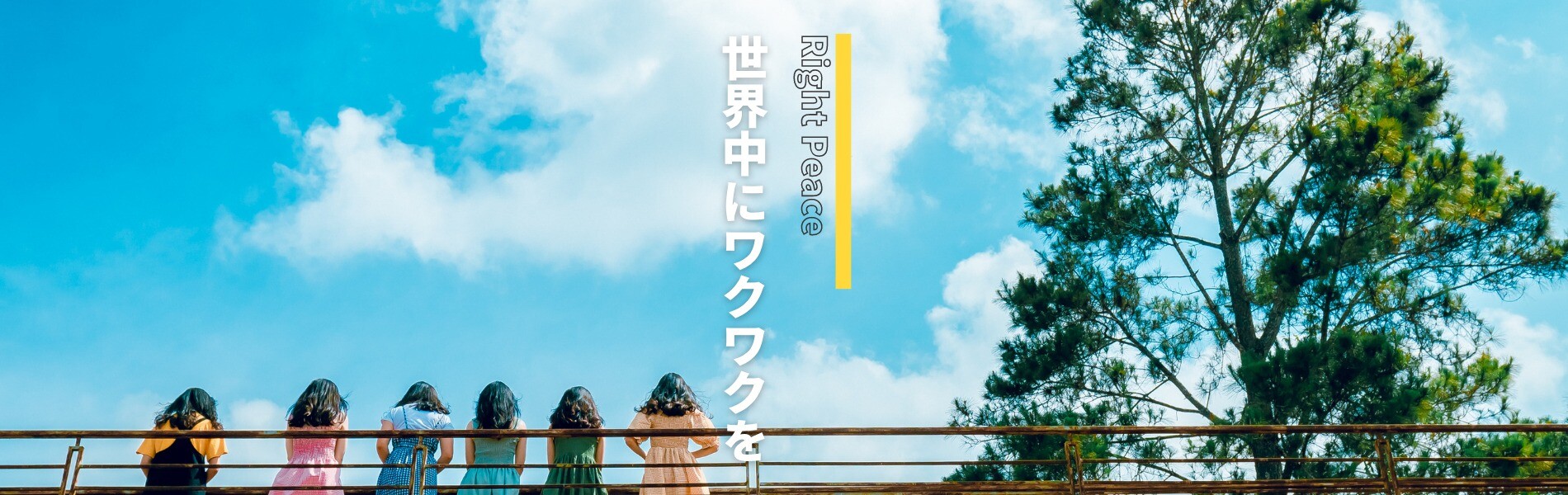 トレカレインボー 運営会社