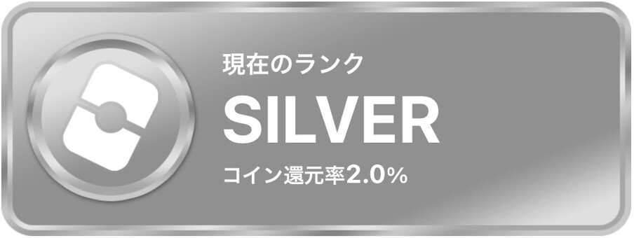 シルバー オリパワン