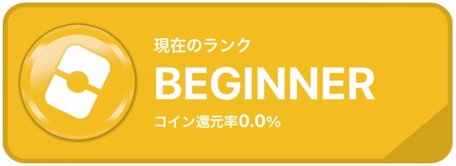 ビギナー オリパワン