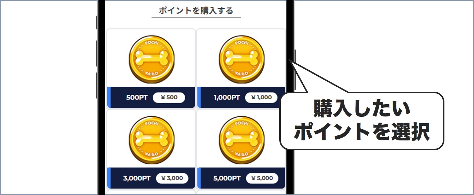 ポチオリパポイント購入画面