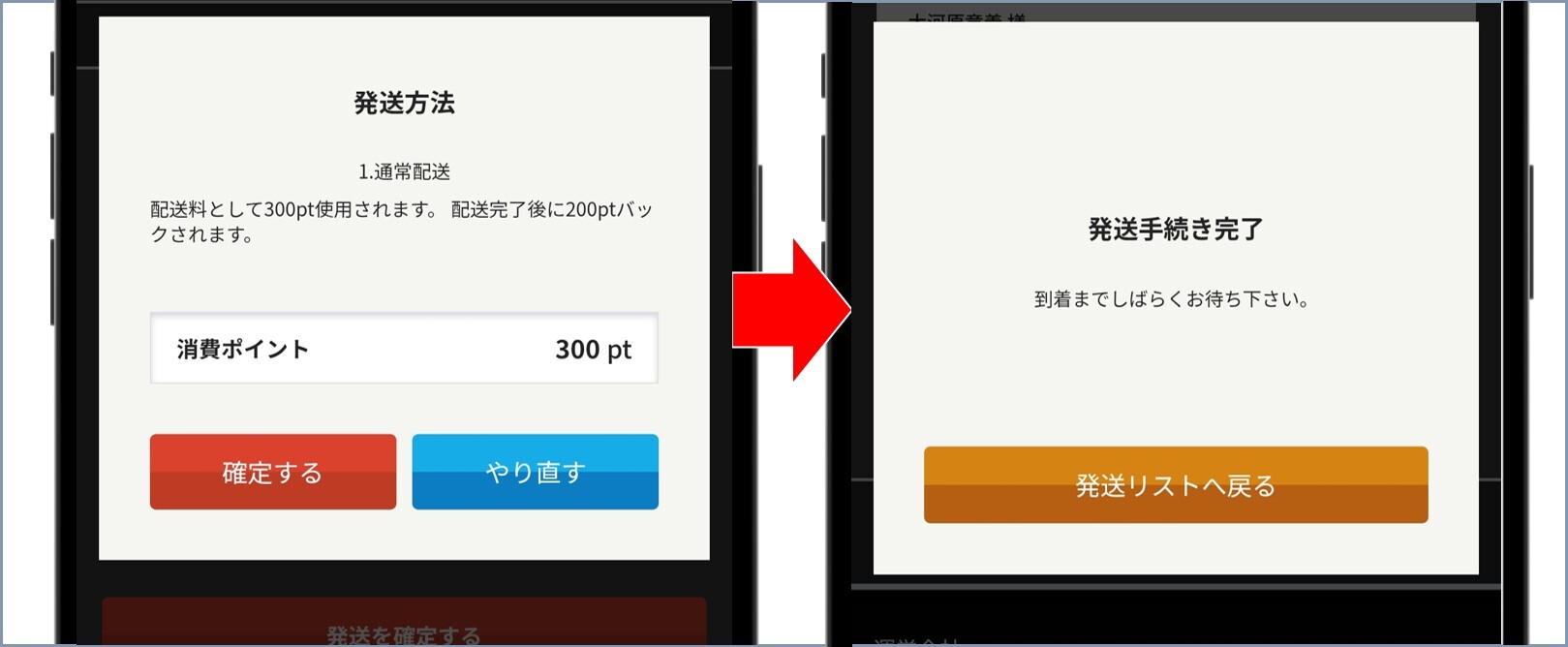 トレカレインボー 配送料の300ptを消費して完了
