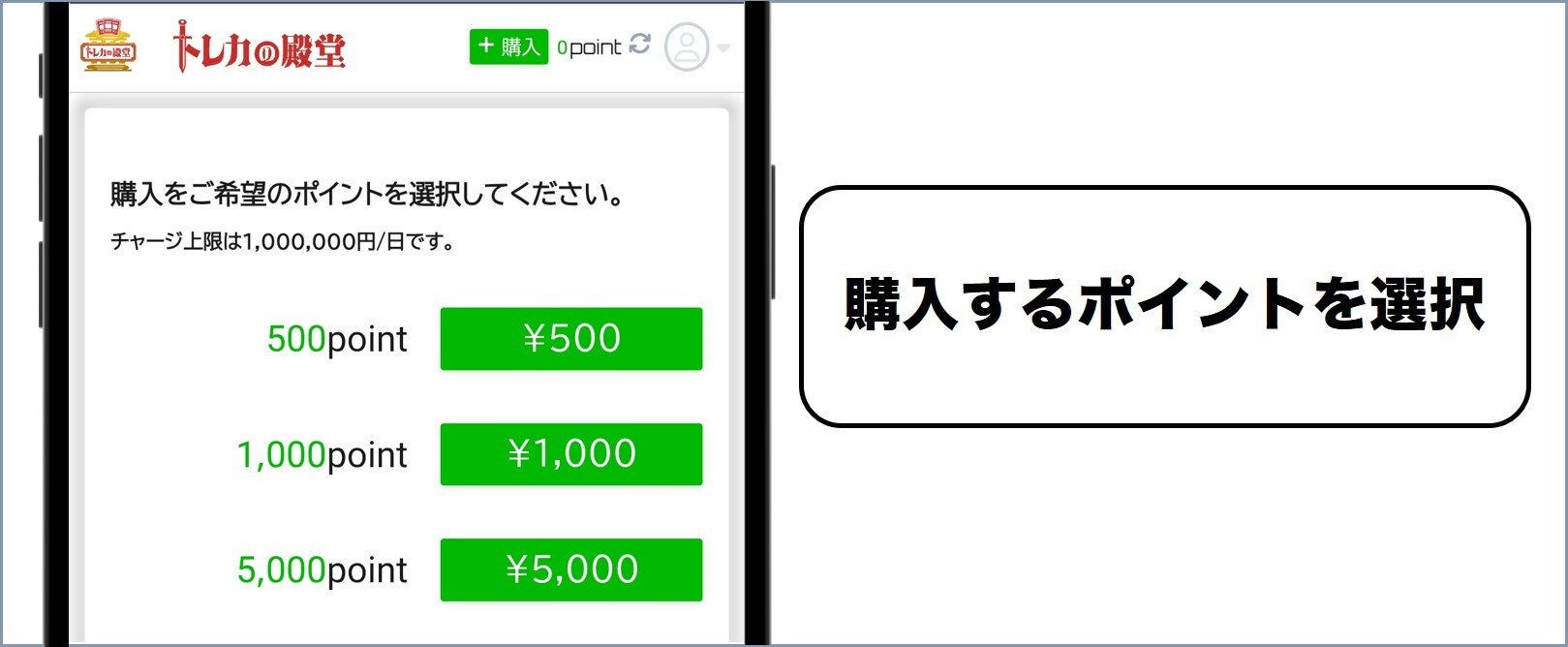 トレカの殿堂 購入したいポイントを選択