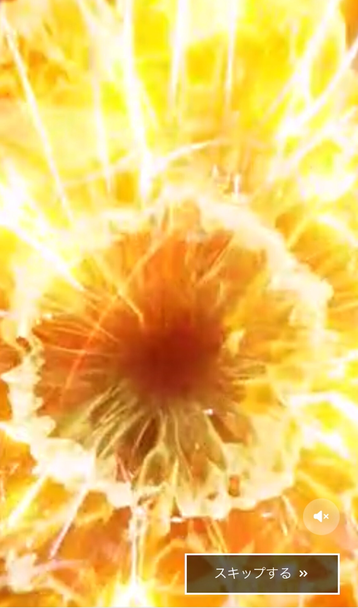 ラッキートレカ 演出3