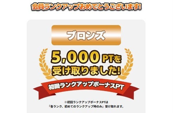 10,000円課金でブロンズランクに昇格