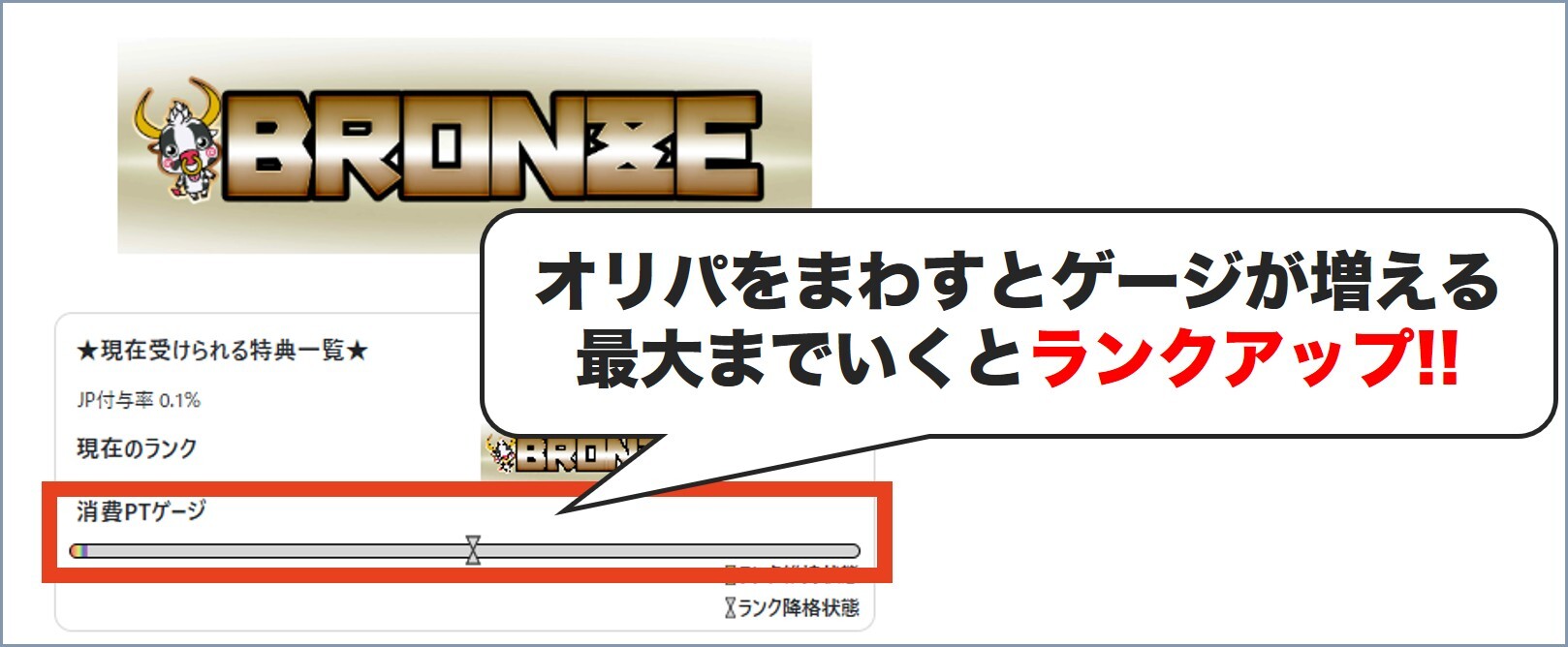 ジンスタオリパランク制度