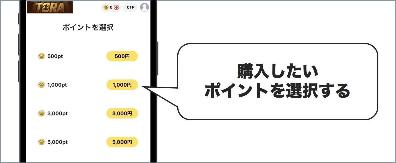 購入したいポイントを選択する TORAオリパ
