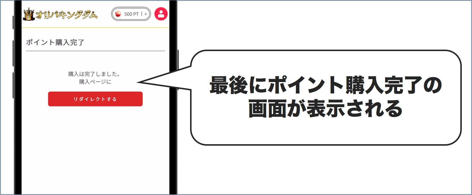 ポイント購入完了 オリパキングダム