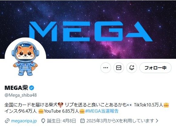 MEGA柴X