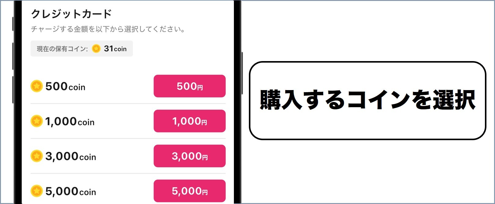 100円オリパ コイン購入2