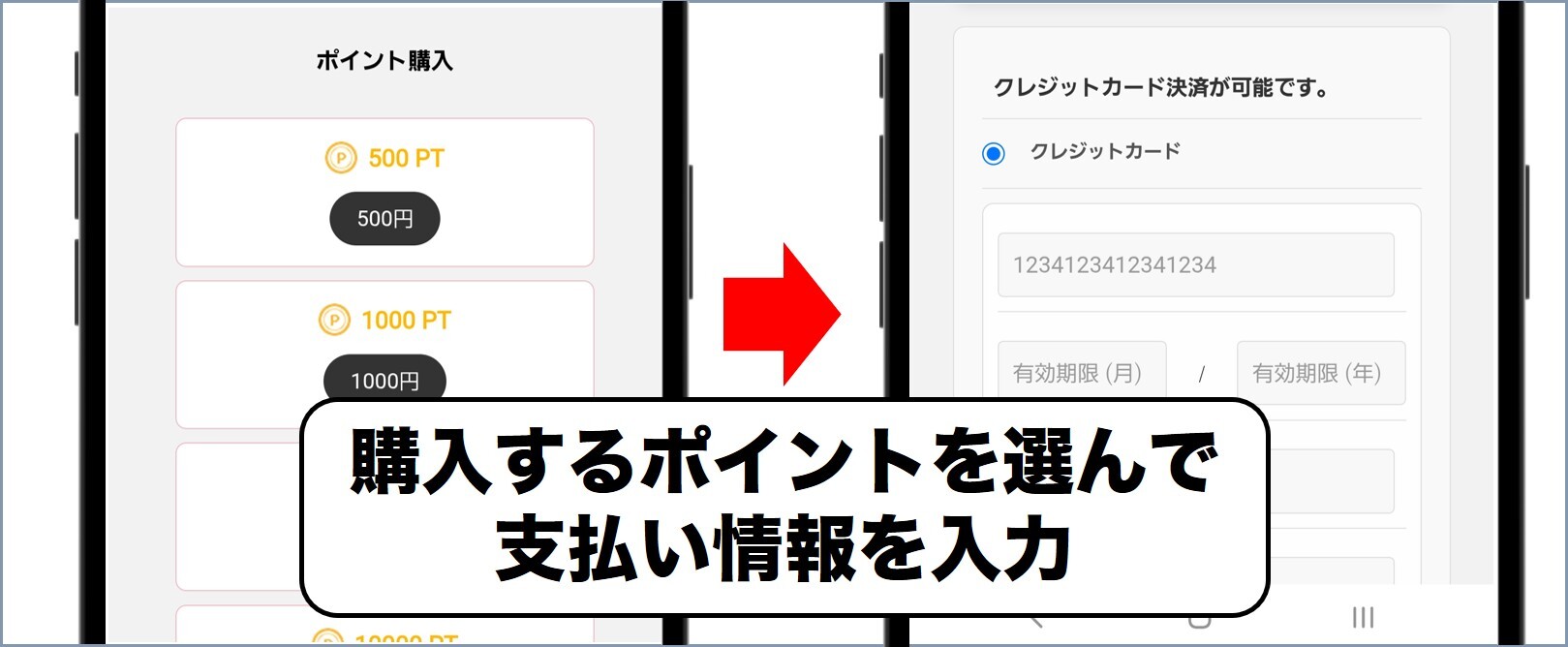 01トレカ ポイント購入方法2