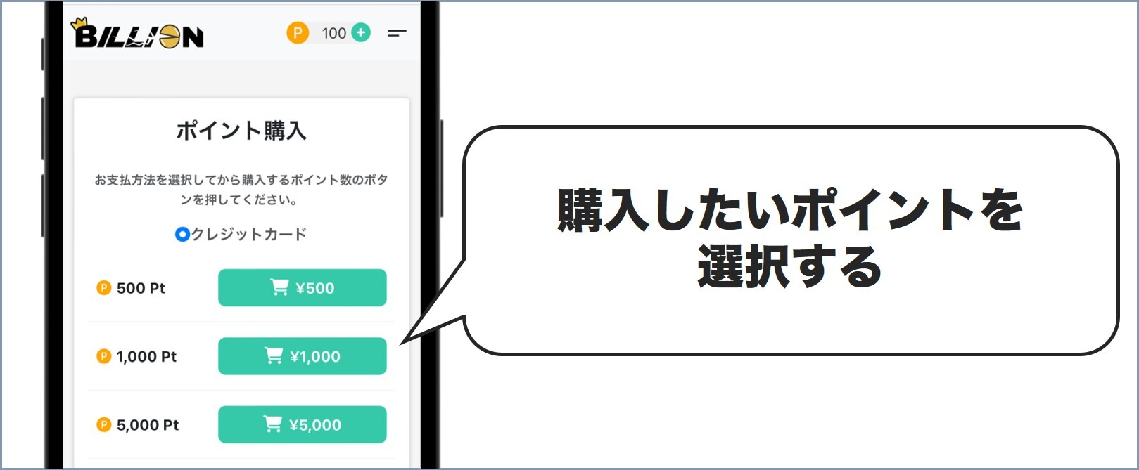 購入したいポイントを選択する ビリオンオリパ