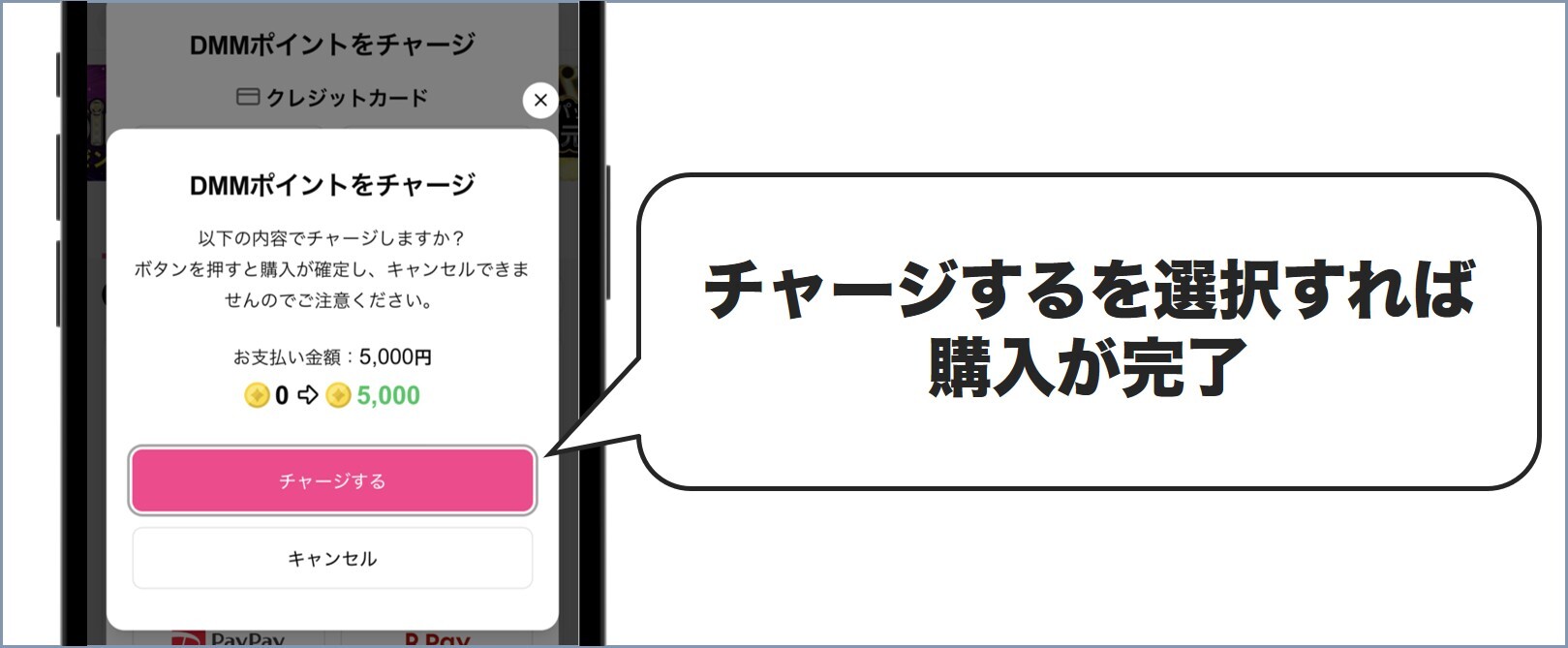 Dオリパ 支払い3