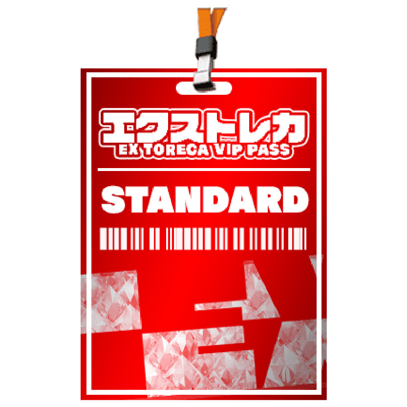 エクストレカVIPパス_スタンダードVIP
