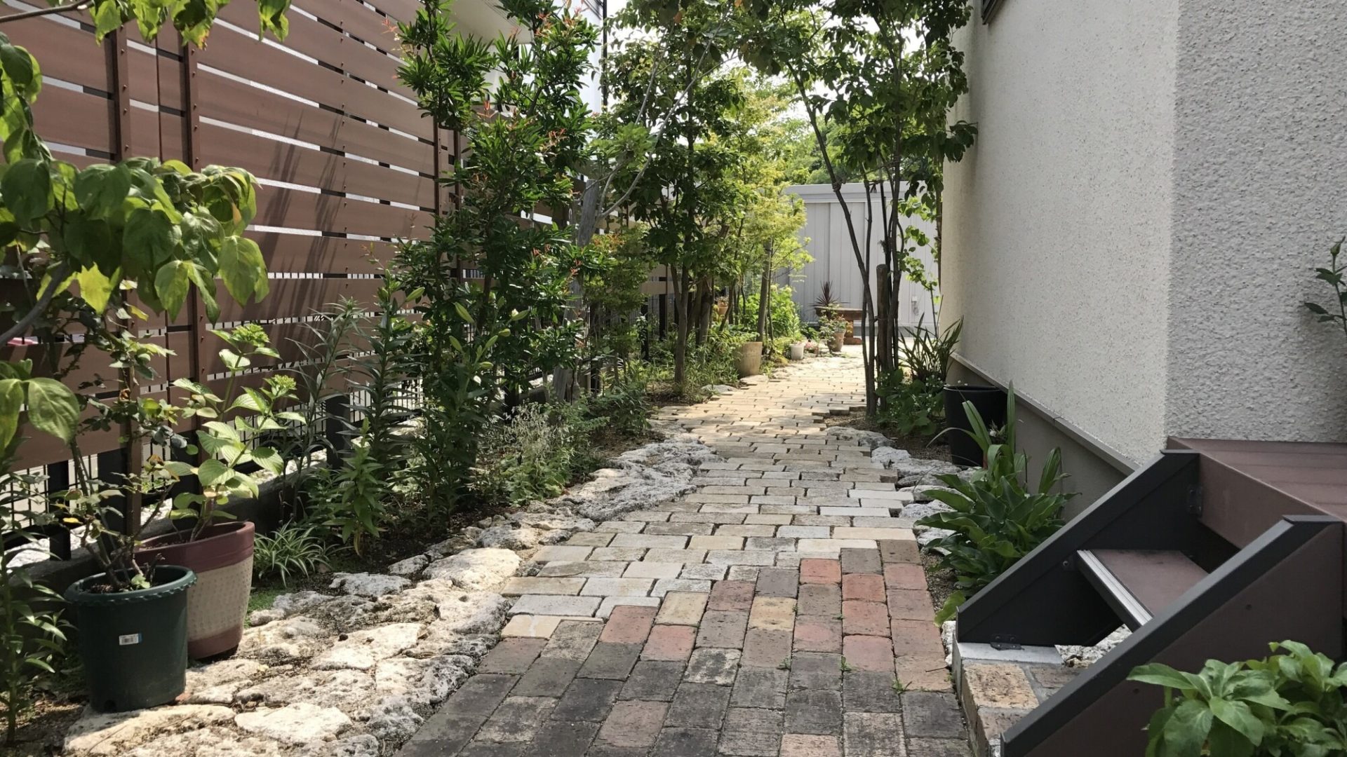 フィールド_3