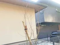 ファミリー庭園 滋賀店_1