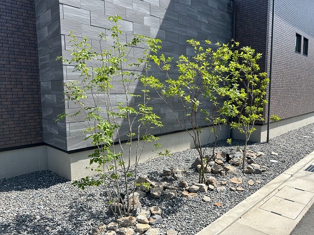 アイガーデン_3