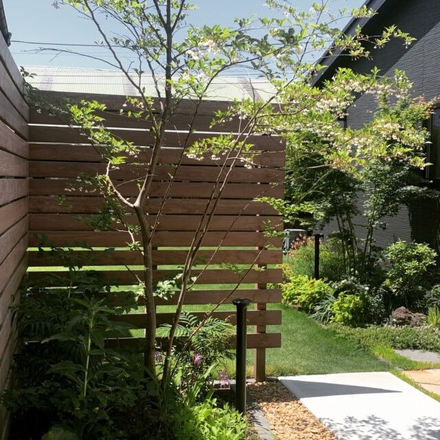 グリーンテラス_3