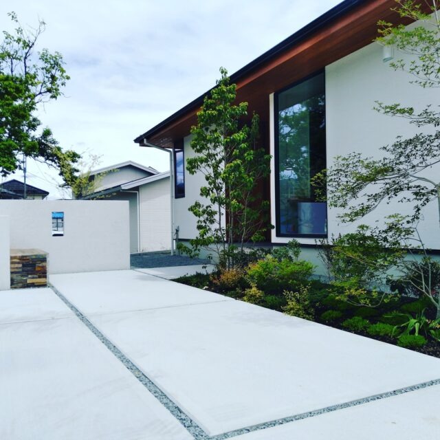 グリーンテラス_1