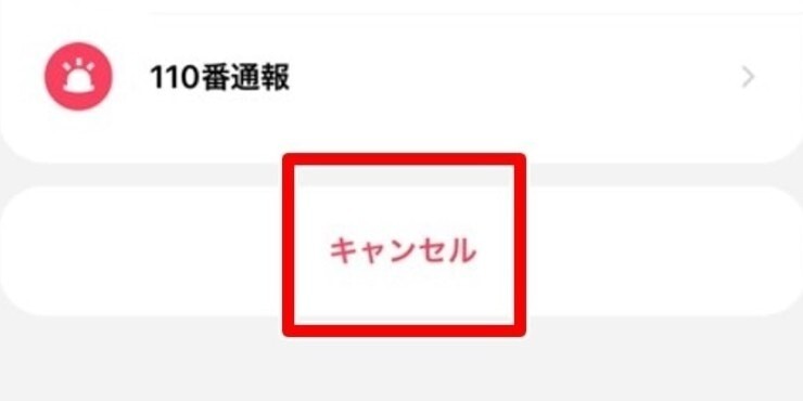 DiDi 画面下部の「キャンセル」をタップ