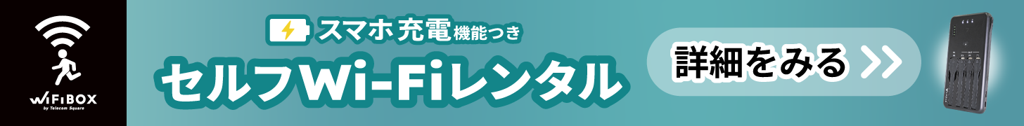 WiFiBOXバナー（PC）